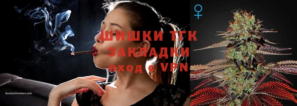 прущий лед Костерёво