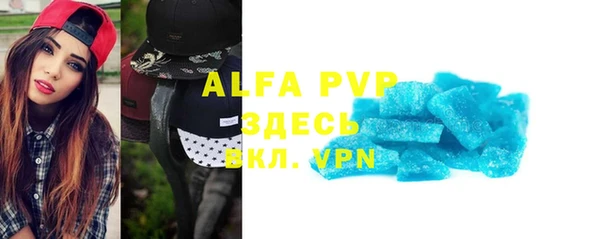 трава Корсаков