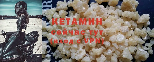 трава Корсаков
