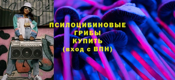 прущий лед Костерёво
