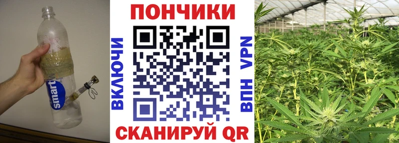Каннабис AK-47 Мончегорск